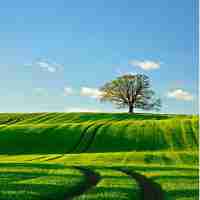 快​速‌网‍站﻿监﻿控‌教‌程‌下‌载‍