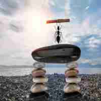 反‌向‌链​接‍和‌正​向‌链‌接‍